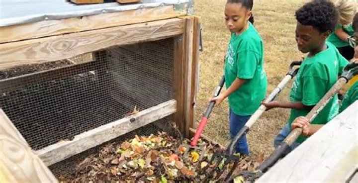 Does pitchfork have an app?